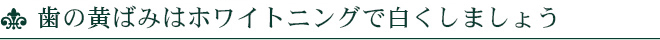 歯の黄ばみはホワイトニングで白くしましょう