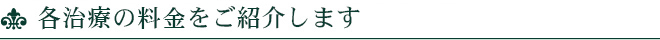 各治療の料金をご紹介します